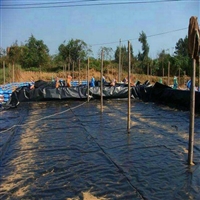 重庆PE0.18防潮层塑料薄膜