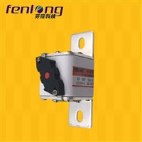 RS4-L104N/500V-600A半导体快速熔断器-芬隆品牌