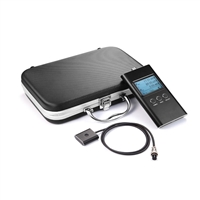 ZFZ-395紫外辐照计 紫外辐射强度测量仪