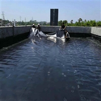 广西PE膜120克隔离层接受订制