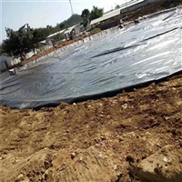 四川0.5mmPE膜防水层塑料薄膜