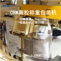 CAS凯士颗粒定量包装机,CBM自动称重包装秤,颗粒包装生产线