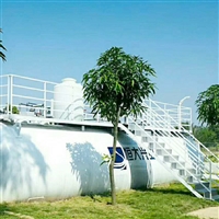 农村污水处理器碳钢材质板材10个厚质保20年进口MBR膜工艺一体化