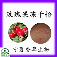 玫瑰果冻干粉80目水溶性玫瑰果粉速溶粉10:1玫瑰果提取物