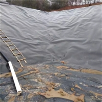 养河蟹防渗透膜 养殖场污水池防水用薄膜 屋面防水固废处置场土工膜 