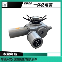 扬修电力执行器DZW45-24-A00-WK2/开关阀控制