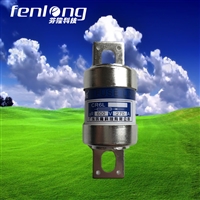 RGS15/RGS19/CR6L快速熔断器定制