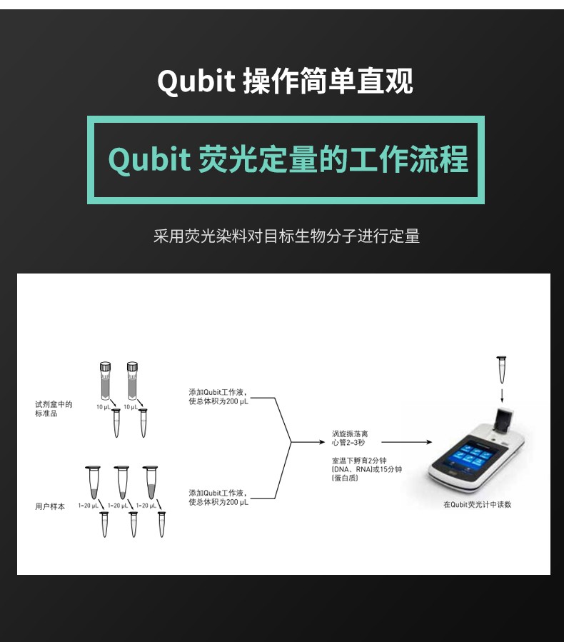 qubit4.0荧光定量仪 赛默飞荧光计