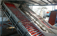 草莓果酱定制设备  4000瓶每小时玻璃瓶蓝莓酱生产线