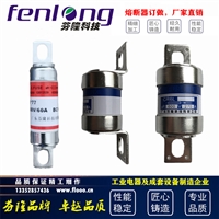 CR2L/CR6L/RGS11/RGS12/RGS15快速熔断器-芬隆品牌