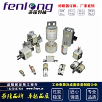 RGS11/RGS12/CR2L/CR6L快速熔断器