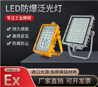 LED防爆泛光灯50W75W免维护投光灯100W加油站棚顶灯路灯双拼模组灯