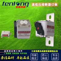 电动汽车新能源熔断器/快速熔断器订做-芬隆科技