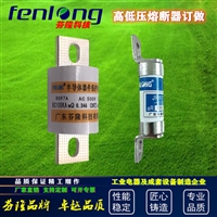 低压熔断器/快速熔断器/直流熔断器订做-芬隆品牌