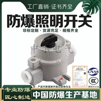 化工厂SW-10防爆照明开关16A防水防尘铝合金隔爆控制开关220v380v