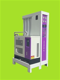 山东制氮机 高纯度一体式氮气发生器 气调制氮机 食品制氮机
