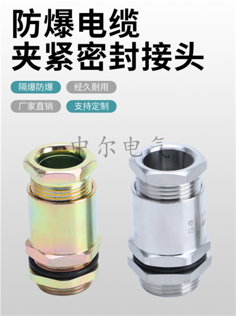 DN25隔爆格兰头BDM 一内一外丝铠装接头1寸 双密封防爆填料函NPT