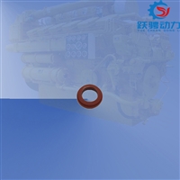 匹配驰动济柴12v190串水管胶圈胜动500kw瓦斯发电机组12V.01.12