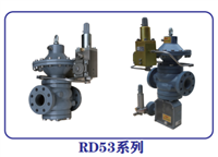 天津瑞盖斯 进口燃气设备 RD53S RD53调压器 调压阀 可定制