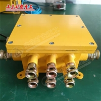 低压电缆接线盒BHD-10/127-16G 煤矿用隔爆型