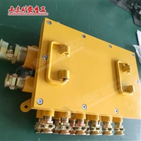 BHD-10127-28G 矿用隔爆型低压电缆接线盒