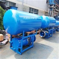 双河泵业供应临时排水轴流泵   浮筒式轴流泵