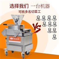 多功能蔬菜切菜机 自动切片机 切各种片状的机械设备