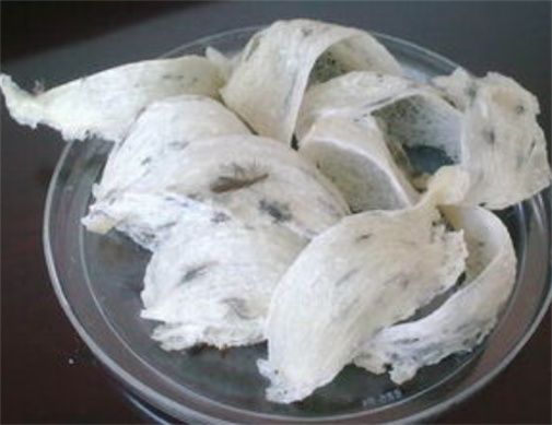 逢源燕窝回收-燕窝回收具体价位