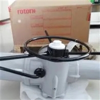 原装进口罗托克ROTORK；IQTM250-F10-B4电动装置型号参数