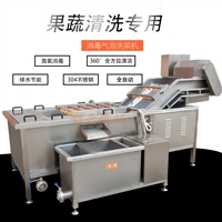 自动气泡清洗机 小型商用果蔬洗菜清洗线