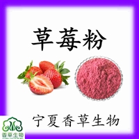 草莓粉80目  草莓速溶粉 冻干草莓粉 水溶性草莓浓缩粉