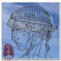 不锈钢蚂蚁 后期易清洁维护 色彩亮丽 颜色丰富