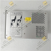 21501-00-20-10-02 双振动监视器 质保一年