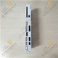 Schneider AM-M909-004 热备模块光纤电缆 欧美进口