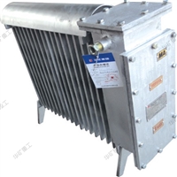 取暖设备矿用取暖器 矿用取暖器防爆 RBE-1000/127矿用取暖器 