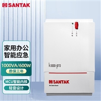 山特UPS电源K1000 1KVA 700W 山特后备式K系列UPS不间断电源