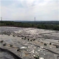 无锡堤坝垂直铺塑防渗膜  养殖复合防渗膜 挡土墙隔水防渗层土工膜