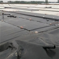 山东莲藕防渗膜施工 泥鳅养殖专用黑膜 养猪场粪堆防渗漏黑膜