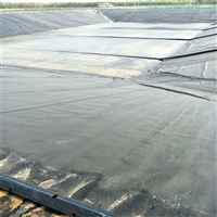 山东防渗毯水泥毯 黄鳝养殖防渗布 黑坑0.2mm防渗水HDPE土工膜