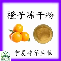 橙子凍干粉97% 長期供應 凍干橙子粉80目 濃縮橙子粉