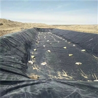 山东畜牧养殖防渗膜价格 赏荷花防渗膜 垃圾填埋场防渗衬层材料 