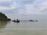 2023年银鱼卵预定价格 内蒙古水库银鱼鱼籽价格 水库银鱼卵投放密度