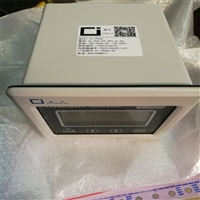 CIPC84氧分析仪 制氧机CIPC84高含量氧分析仪