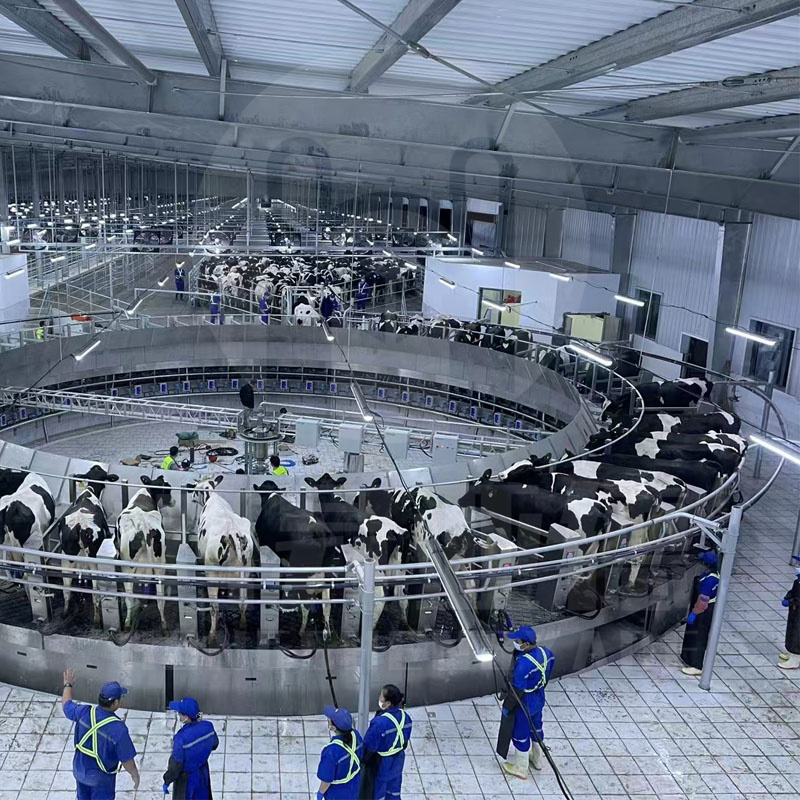 阿菲金 重型转台挤奶机 80位奶牛挤奶设备 牧场养殖设备 挤奶厅设施
