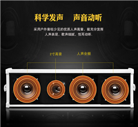 酒店、商场ip音柱 POE供电IP网络广播音柱AEO- 20WIP