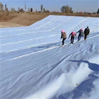 河道护坡无纺土工布常用规格尺寸