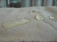 硅酸盐板 正昊供应