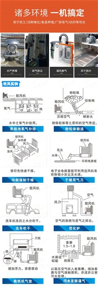 可燃气体防爆输送漩涡气泵（可燃气体防爆输送漩涡气泵原理）