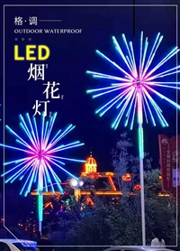 LED景观灯夜游景观户外防水 广场酒吧装饰氛围灯 灯光节