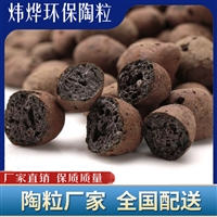 彩色陶粒  广州天河陶粒滤料批发